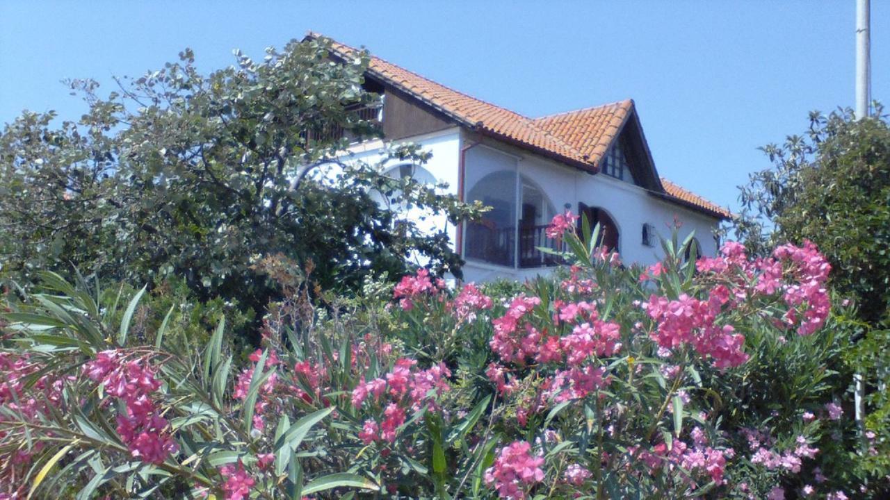 Villa Iris Vrasná Extérieur photo
